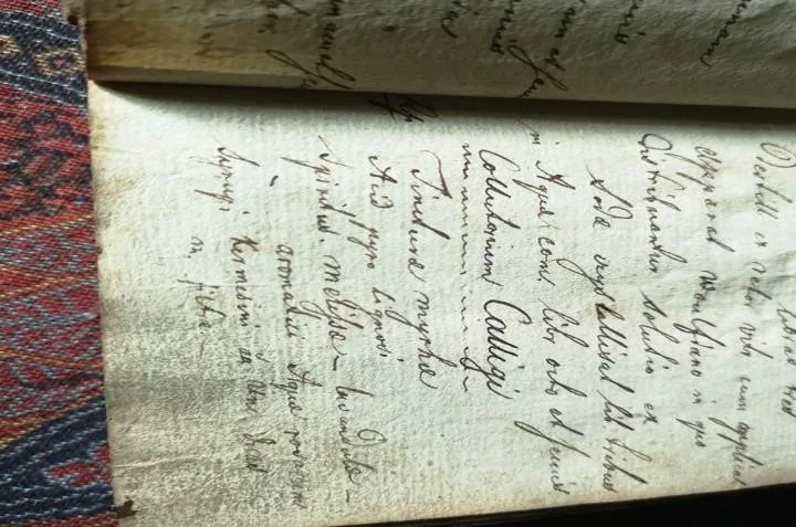 Rękopiśmienna księga recept Feliksa Baranieckiego, około 1850 roku